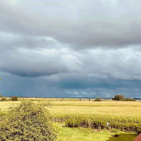 Cozy In The Manor House 펜션