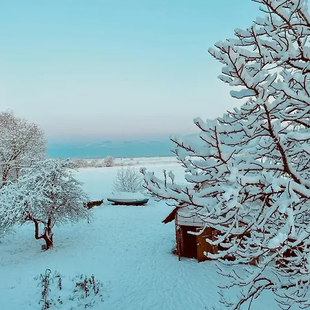 Cozy In The Manor House