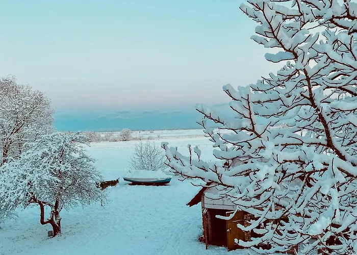 Cozy In The Manor House